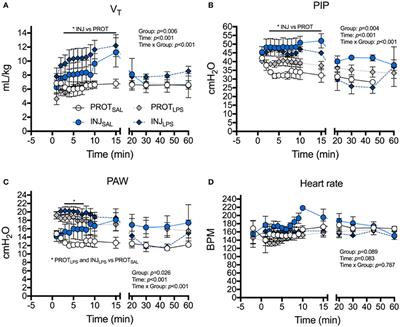 Effects of Intrauterine Inflammation on Cortical Gray Matter of Near-Term Lambs